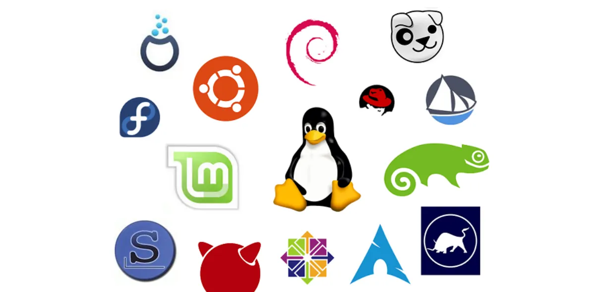 Image description